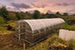 ARC 1 Polycarbonate Greenhouse