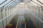HOUSE Polycarbonate Greenhouse