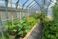 HOUSE Polycarbonate Greenhouse