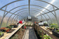 ARC 2 Polycarbonate Greenhouse | Best Seller