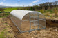 ARC 2 Polycarbonate Greenhouse | Best Seller