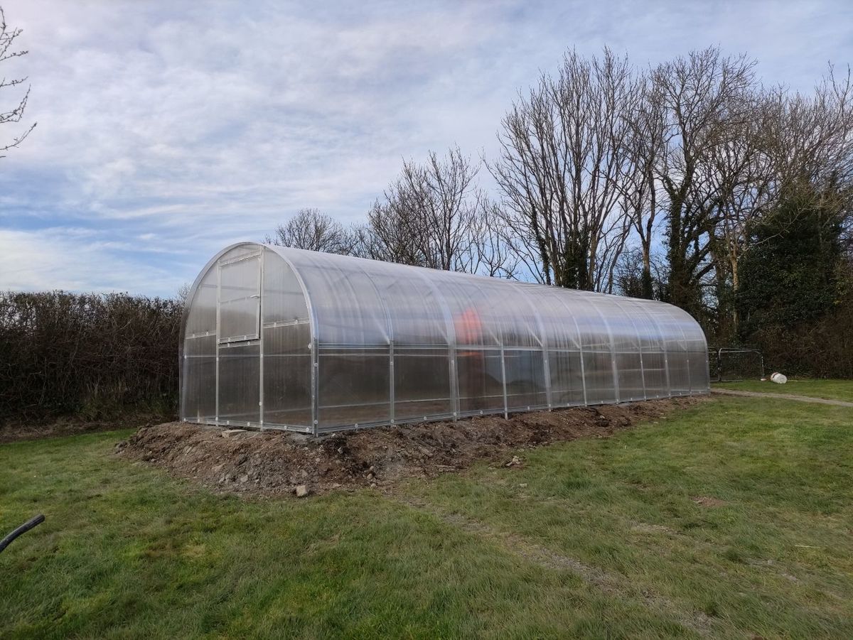 Polycarbonate Greenhouse "ARC 1.0" Arches 100cm apart